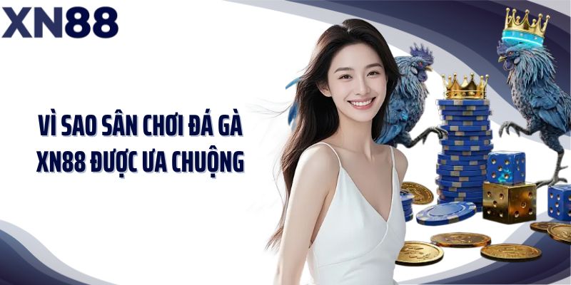 Vì sao sân chơi đá gà XN88 được ưa chuộng
